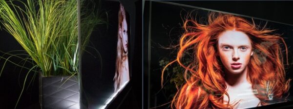 55" Transparent OLED Monitor Rental